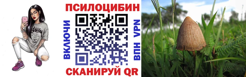 Галлюциногенные грибы мицелий  Новотроицк 